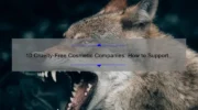 10 Cruelty-Free Cosmetic Companies: How to Support Ethical Beauty and Protect Animals [No Animal Testing]