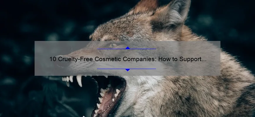 10 Cruelty-Free Cosmetic Companies: How to Support Ethical Beauty and Protect Animals [No Animal Testing]