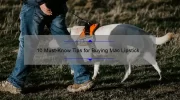 10 Must-Know Tips for Buying Mac Lipstick [Plus a Personal Story] – Your Ultimate Guide to Finding the Best Mac Lipstick for Sale