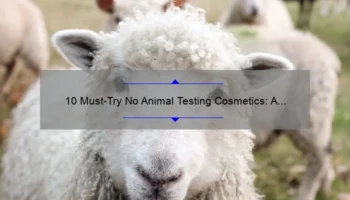 10 Must-Try No Animal Testing Cosmetics: A Personal Story and Guide [2021]