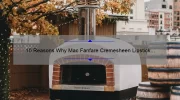 10 Reasons Why Mac Fanfare Cremesheen Lipstick is a Must-Have [Plus My Personal Experience and Tips]