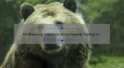 10 Shocking Statistics About Animal Testing in Cosmetics [And How to Make a Cruelty-Free Choice]