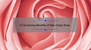 10 Surprising Benefits of Mac Dusty Rose Lipstick: A Personal Story [Plus Expert Tips and Tricks]