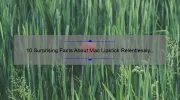10 Surprising Facts About Mac Lipstick Relentlessly Red [Plus Tips for Perfect Application]