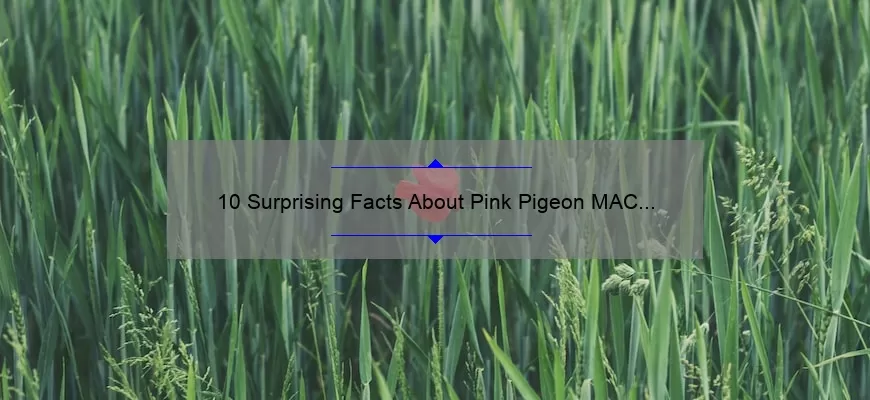 10 Surprising Facts About Pink Pigeon MAC Lipstick: A Beauty Blogger’s Personal Experience [Ultimate Guide]