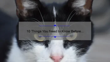 10 Things You Need to Know Before Getting Eye Surgery [A Personal Story and Useful Tips] – Your Guide to a Successful Cosmetic Procedure