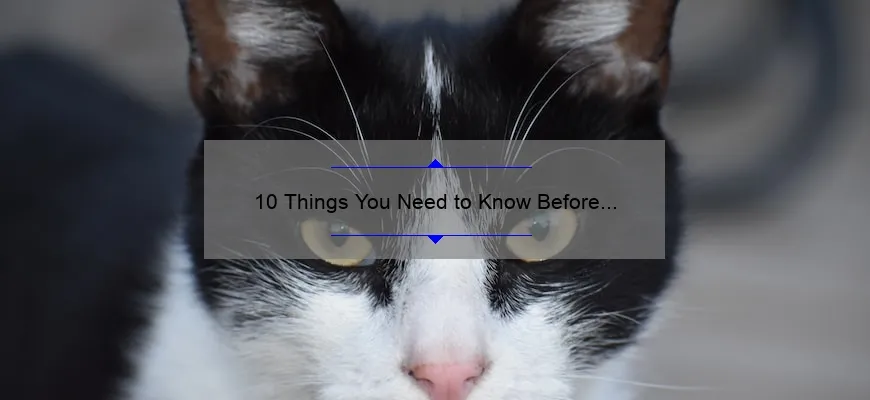 10 Things You Need to Know Before Getting Eye Surgery [A Personal Story and Useful Tips] – Your Guide to a Successful Cosmetic Procedure