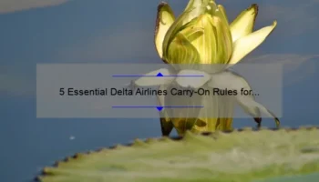 5 Essential Delta Airlines Carry-On Rules for Cosmetics [And How to Avoid Confusion]
