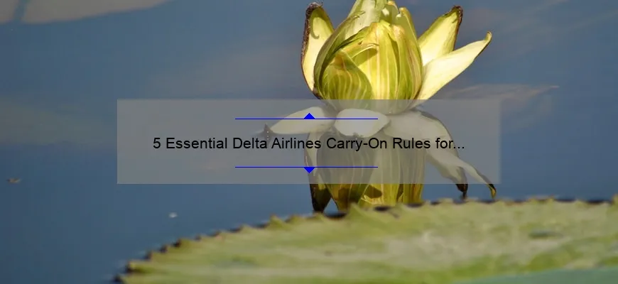 5 Essential Delta Airlines Carry-On Rules for Cosmetics [And How to Avoid Confusion]