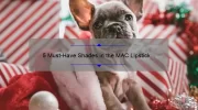 5 Must-Have Shades in the MAC Lipstick Holiday Set: A Beauty Blogger’s Review [Plus Tips for Long-Lasting Wear]
