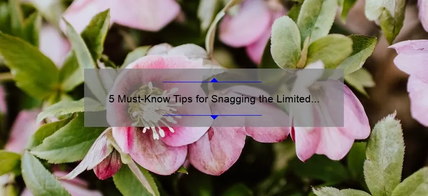 5 Must-Know Tips for Snagging the Limited Edition MAC Lipstick [Plus a Story of My Own] – Your Ultimate Guide to the Hottest Shade of the Season