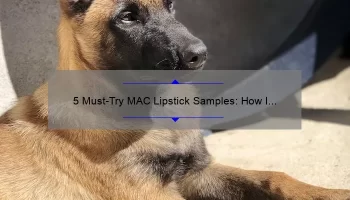 5 Must-Try MAC Lipstick Samples: How I Found My Perfect Shade [Expert Tips & Stats]