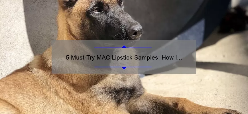 5 Must-Try MAC Lipstick Samples: How I Found My Perfect Shade [Expert Tips & Stats]