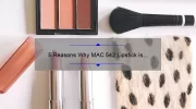 5 Reasons Why MAC 542 Lipstick is a Must-Have [Plus, My Personal Experience and Tips]