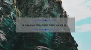 5 Reasons Why MAC 549 Lipstick is a Must-Have [Plus My Personal Experience and Tips]
