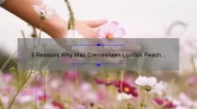 5 Reasons Why Mac Cremesheen Lipstick Peach Blossom is the Perfect Spring Shade [Plus a Personal Story and Expert Tips]