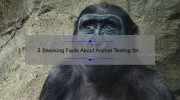 5 Shocking Facts About Animal Testing for Cosmetics [And How You Can Help Stop It]