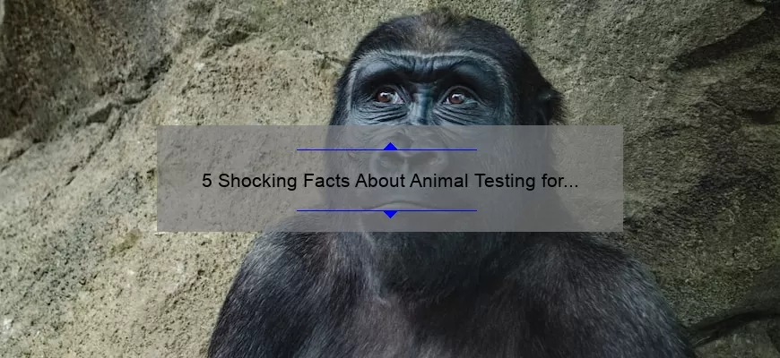 5 Shocking Facts About Animal Testing for Cosmetics [And How You Can Help Stop It]