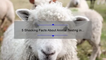 5 Shocking Facts About Animal Testing in Cosmetics [And How You Can Help Stop It]