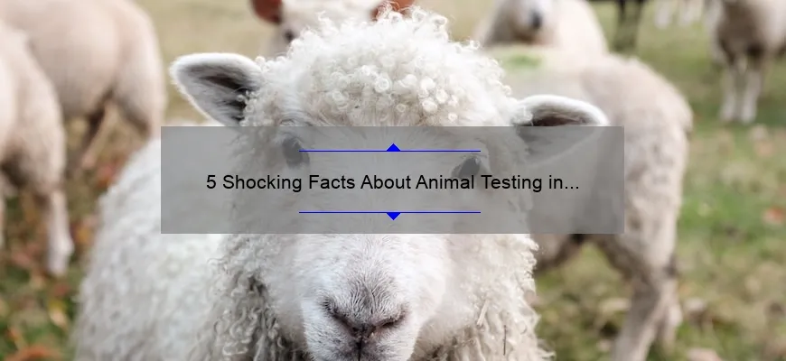 5 Shocking Facts About Animal Testing in Cosmetics [And How You Can Help Stop It]