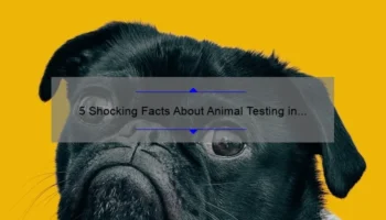 5 Shocking Facts About Animal Testing in Cosmetics [And How to Make Cruelty-Free Choices]