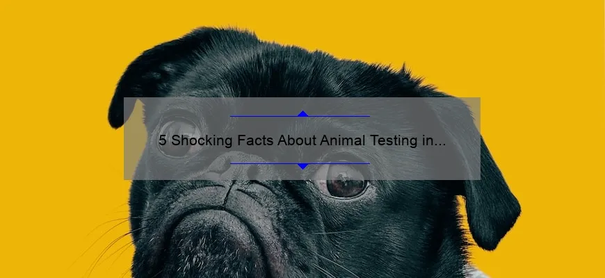 5 Shocking Facts About Animal Testing in Cosmetics [And How to Make Cruelty-Free Choices]