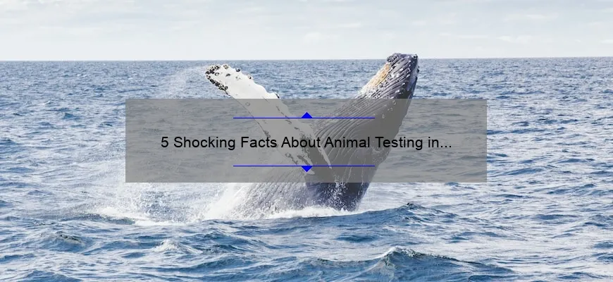 5 Shocking Facts About Animal Testing in Cosmetics [And How to Make Cruelty-Free Choices]