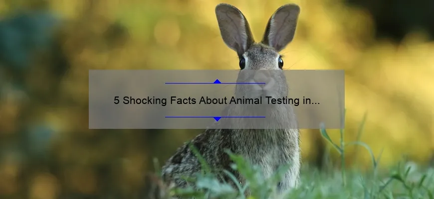 5 Shocking Facts About Animal Testing in Cosmetics Brands [And How to Make Ethical Choices]