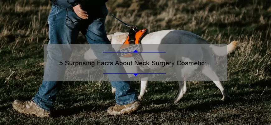 5 Surprising Facts About Neck Surgery Cosmetic: A Personal Story and Practical Guide [Expert Tips Included]