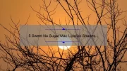 5 Sweet No Sugar Mac Lipstick Shades You Need to Try [Plus Tips for Long-Lasting Wear]