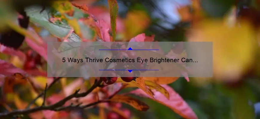 5 Ways Thrive Cosmetics Eye Brightener Can Transform Your Look [Real Stories + Expert Tips]