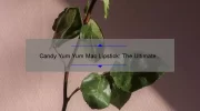 Candy Yum Yum Mac Lipstick: The Ultimate Guide to Finding Your Perfect Shade [With Real-Life Stories and Expert Tips]
