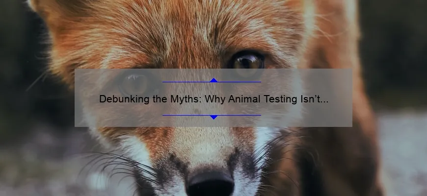 Debunking the Myths: Why Animal Testing Isn’t Necessary for Cosmetics [Plus 5 Alternatives]