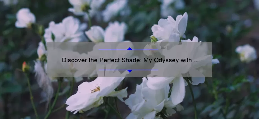 Discover the Perfect Shade: My Odyssey with MAC Lipstick [A Comprehensive Guide with Stats and Tips]