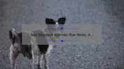Say Goodbye to Under Eye Woes: A Personal Story and 5 Statistics on How IT Cosmetics Can Help [Bye Bye Under Eye]