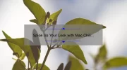 Spice Up Your Look with Mac Chili Lipstick: A Review and Swatch Guide