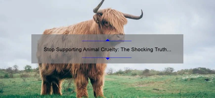 Stop Supporting Animal Cruelty: The Shocking Truth About Cosmetics Testing [Infographic]