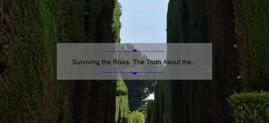 Surviving the Risks: The Truth About the Deadliest Cosmetic Surgery [Real Stories, Stats, and Solutions]