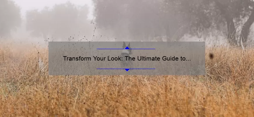 Transform Your Look: The Ultimate Guide to Cosmetic Facial Procedures [Real Stories, Stats, and Solutions]