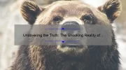 Uncovering the Truth: The Shocking Reality of Animal Testing for Cosmetics [Complete Guide with Statistics and Solutions]