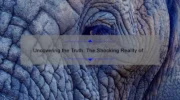 Uncovering the Truth: The Shocking Reality of Cosmetic Testing on Animals [A Comprehensive Guide with Eye-Opening Statistics]