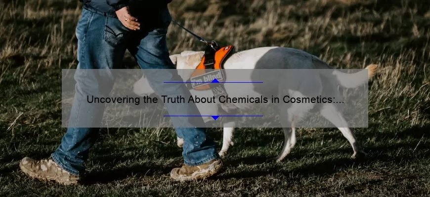 Uncovering the Truth About Chemicals in Cosmetics: A Personal Story and 5 Essential Tips [Expert Guide]