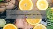 Unleashing the Beauty of Mac Creme d’Nude Lipstick: A Comprehensive Review