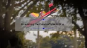 Unleashing the Colors of Mac Mini: A Swatch Review