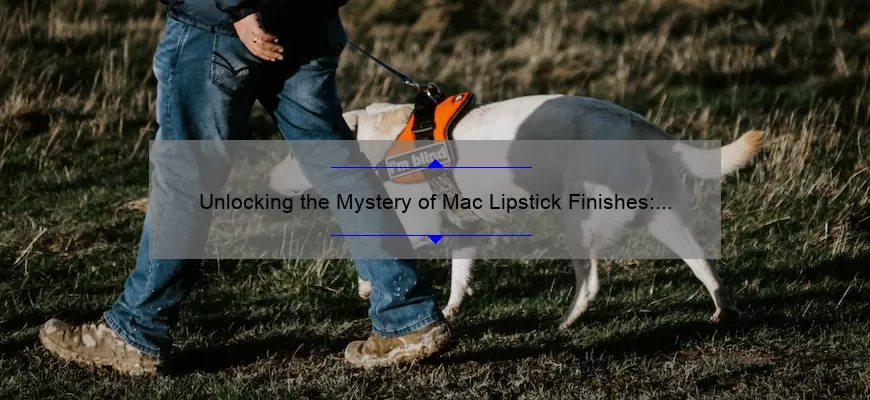 Unlocking the Mystery of Mac Lipstick Finishes: A Personal Story and Expert Guide [with Stats and Tips]