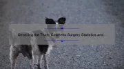 Unveiling the Truth: Cosmetic Surgery Statistics and How They Can Help You [Real Stories, Useful Information, and Eye-Opening Numbers]