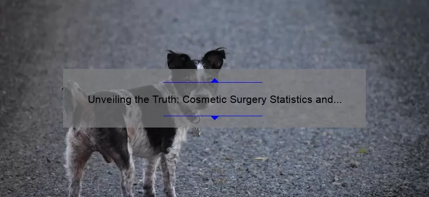 Unveiling the Truth: Cosmetic Surgery Statistics and How They Can Help You [Real Stories, Useful Information, and Eye-Opening Numbers]