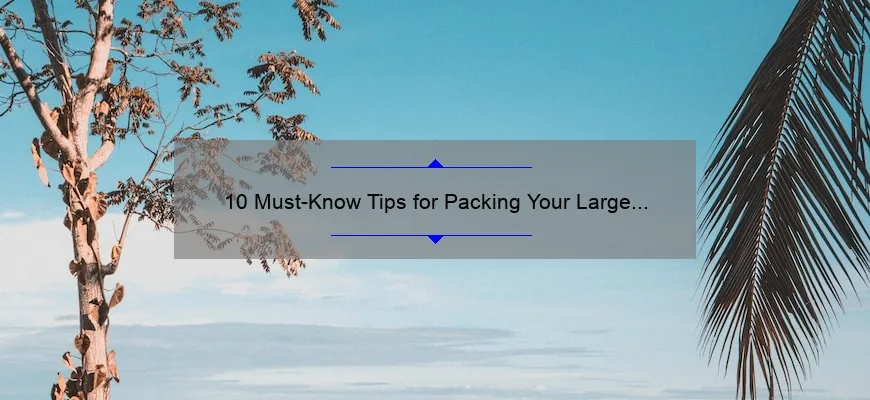 10 Must-Know Tips for Packing Your Large Capacity Cosmetic Travel Bag [Plus a Personal Story]