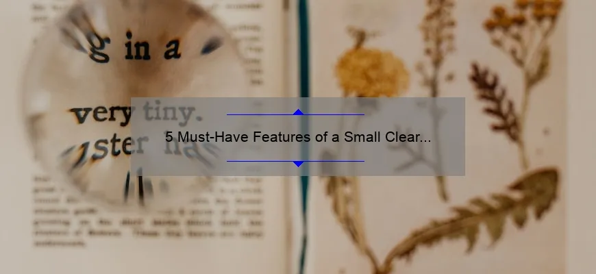 5 Must-Have Features of a Small Clear Cosmetic Bag [Plus a Personal Story and Practical Tips]