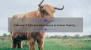 Discover 5 Effective Alternatives to Animal Testing in Cosmetics [A Must-Read Guide for Ethical Beauty Enthusiasts]